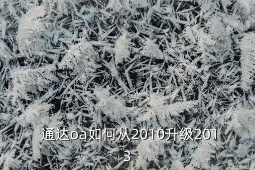  通達(dá)oa如何從2010升級2013