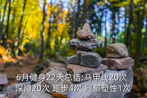 6月健身22天總結(jié):馬甲線20次 深蹲20次 跑步4次 腿部塑性1次