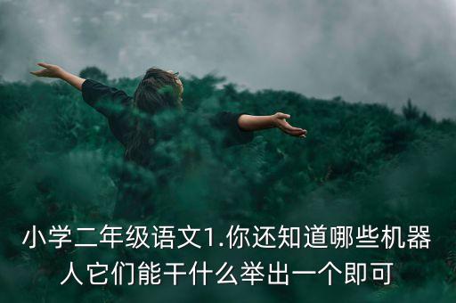 小學(xué)二年級(jí)語(yǔ)文1.你還知道哪些機(jī)器人它們能干什么舉出一個(gè)即可