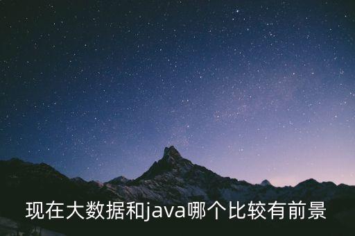 現(xiàn)在大數(shù)據(jù)和java哪個比較有前景