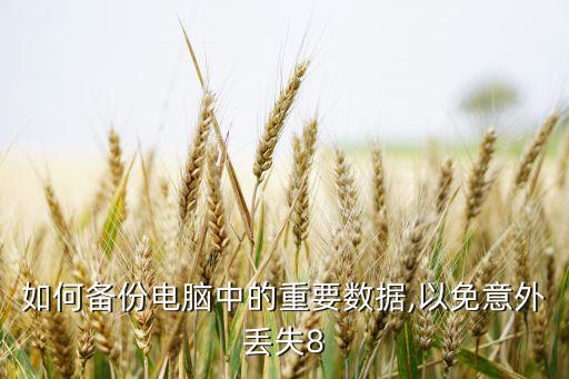 如何備份電腦中的重要數(shù)據(jù),以免意外丟失8