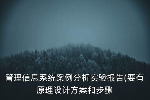 管理信息系統(tǒng)案例分析實(shí)驗(yàn)報(bào)告(要有原理設(shè)計(jì)方案和步驟