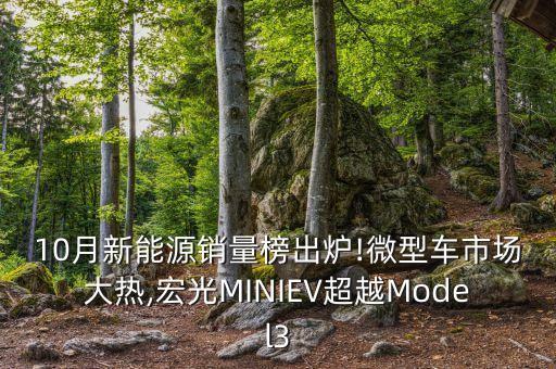 10月新能源銷量榜出爐!微型車市場(chǎng)大熱,宏光MINIEV超越Model3