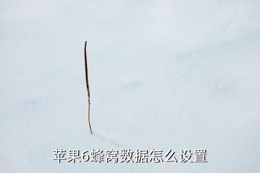 蘋果6蜂窩數(shù)據(jù)怎么設(shè)置