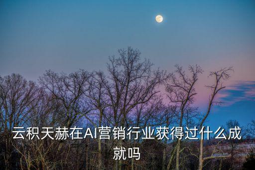云積天赫在AI營銷行業(yè)獲得過什么成就嗎