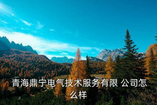 青海變電站自動化公司排名