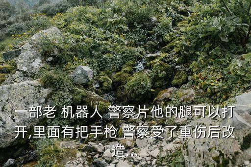 一部老 機(jī)器人 警察片他的腿可以打開,里面有把手槍 警察受了重傷后改造...