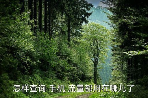 手機怎么看流量數(shù)據(jù)流量,oppo手機怎么看數(shù)據(jù)流量