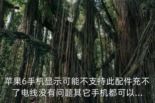 iphone6數(shù)據(jù)線(xiàn)無(wú)法識(shí)別,1安裝軟件即可