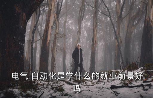  電氣 自動(dòng)化是學(xué)什么的就業(yè)前景好嗎