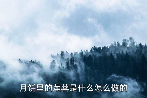 自動化設備制作蓮蓉餡,一文看懂!蓮蓉餡月餅!怎么做?