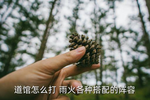 道館怎么打 雨火各種搭配的陣容
