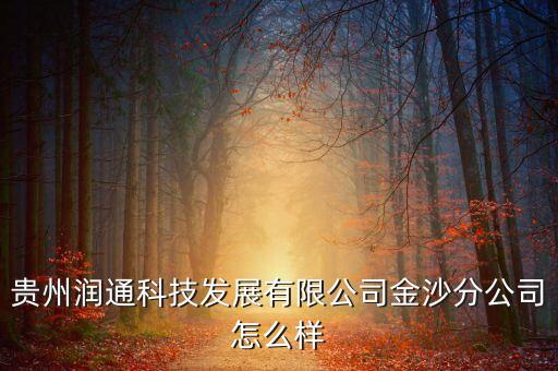 貴州潤通科技發(fā)展有限公司金沙分公司怎么樣