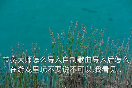 節(jié)奏大師怎么導(dǎo)入自制歌曲導(dǎo)入后怎么在游戲里玩不要說不可以,我看見...