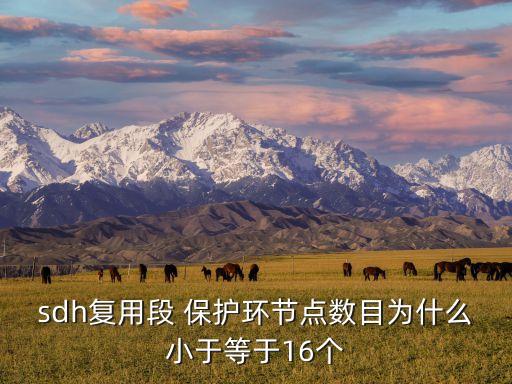 sdh復用段 保護環(huán)節(jié)點數(shù)目為什么小于等于16個