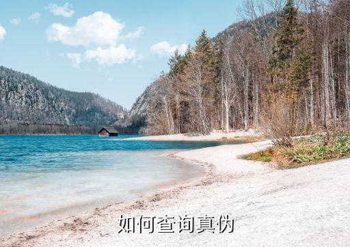 如何查詢真?zhèn)? class=