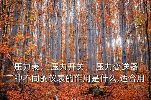  壓力表、 壓力開關、 壓力變送器三種不同的儀表的作用是什么,適合用...
