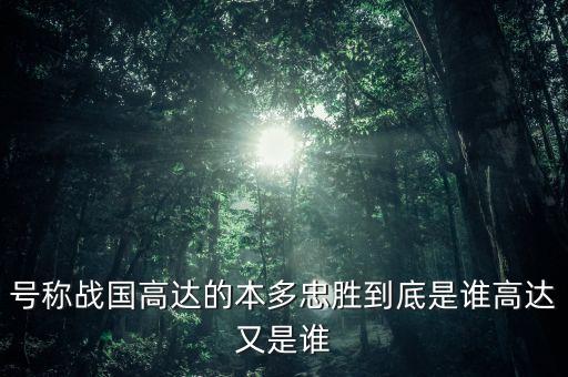 高達(dá)機(jī)器人名字,高達(dá)機(jī)器人系列動(dòng)漫名字:gundam