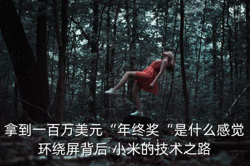 小米公司自動化負責(zé)人,印度小米公司負責(zé)人