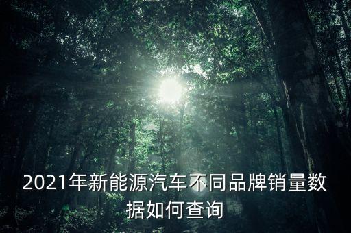 2021年新能源汽車不同品牌銷量數(shù)據(jù)如何查詢