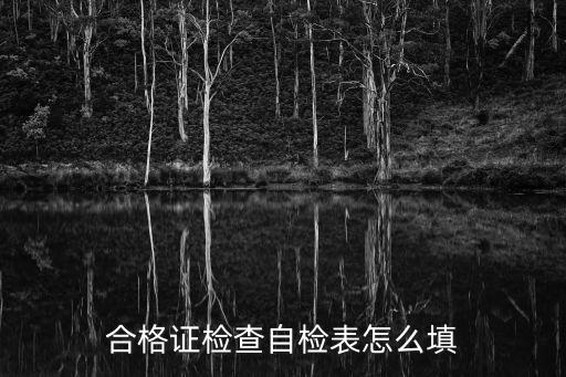 合格證檢查自檢表怎么填