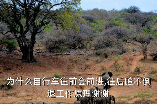 為什么自行車(chē)往前會(huì)前進(jìn),往后瞪不倒退工作原理謝謝