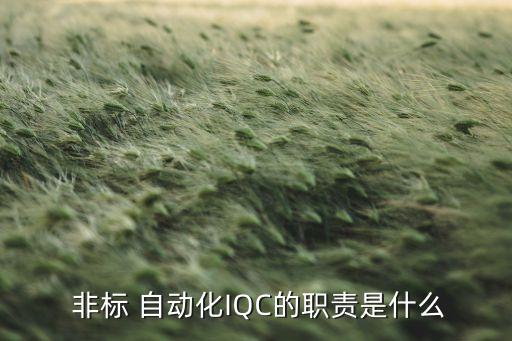 非標(biāo)自動(dòng)化設(shè)備怎樣對(duì)接技術(shù)要求
