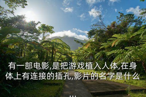 有一部電影,是把游戲植入人體,在身體上有連接的插孔,影片的名字是什么...