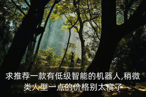 求推薦一款有低級(jí)智能的機(jī)器人,稍微類人型一點(diǎn)的價(jià)格別太高了