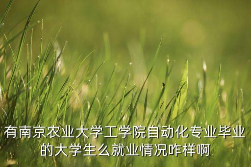 有南京農(nóng)業(yè)大學工學院自動化專業(yè)畢業(yè)的大學生么就業(yè)情況咋樣啊
