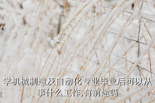 自動化設(shè)備工藝前景如何,自動化專業(yè)的發(fā)展前景有哪些?