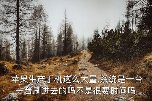  蘋果生產(chǎn)手機(jī)這么大量,系統(tǒng)是一臺一臺刷進(jìn)去的嗎不是很費時間嗎