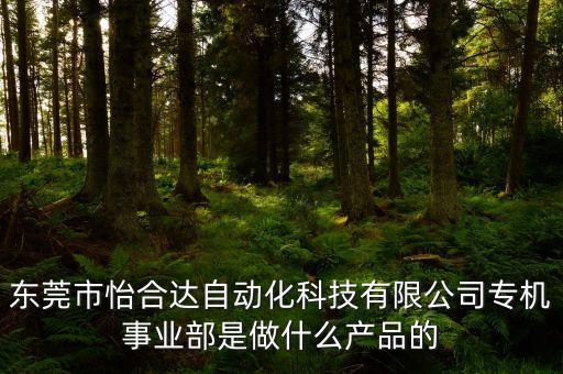 炳赫自動化是做什么的公司,自動化公司起名原則是什么?