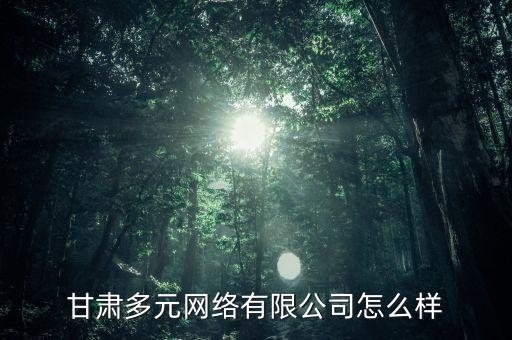 甘肅多元網(wǎng)絡(luò)有限公司怎么樣