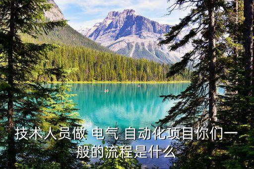 技術(shù)人員做 電氣 自動(dòng)化項(xiàng)目你們一般的流程是什么