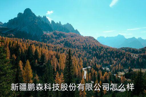新疆鵬森科技股份有限公司怎么樣