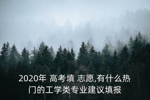 2020年 高考填 志愿,有什么熱門(mén)的工學(xué)類(lèi)專(zhuān)業(yè)建議填報(bào)