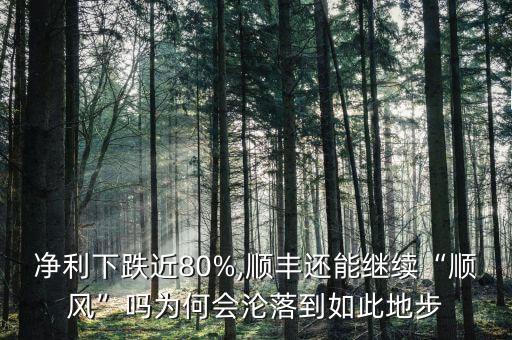 凈利下跌近80%,順豐還能繼續(xù)“順風”嗎為何會淪落到如此地步