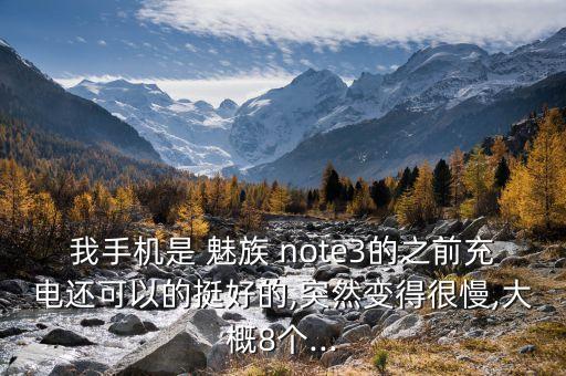 我手機是 魅族 note3的之前充電還可以的挺好的,突然變得很慢,大概8個...