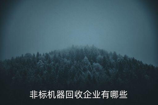 非標(biāo)機(jī)器回收企業(yè)有哪些