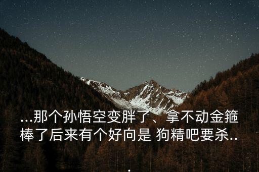 ...那個孫悟空變胖了、拿不動金箍棒了后來有個好向是 狗精吧要殺...
