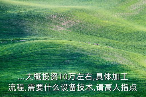 ...大概投資10萬左右,具體加工流程,需要什么設(shè)備技術(shù),請(qǐng)高人指點(diǎn)