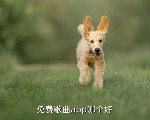 音樂app,哪個音樂app比較好用?