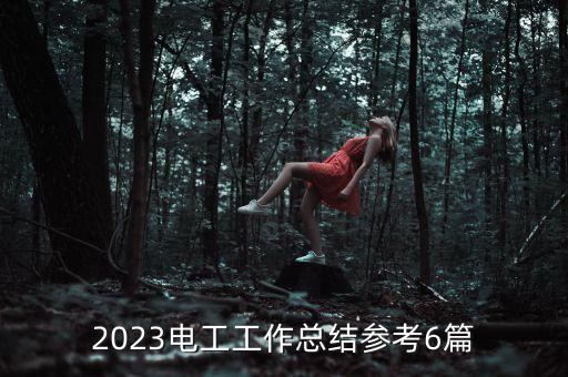 2023電工工作總結參考6篇