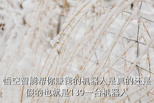 悟空智能幫你賺錢的機器人是真的還是假的也就是139一臺機器人