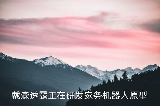 戴森透露正在研發(fā)家務(wù)機器人原型