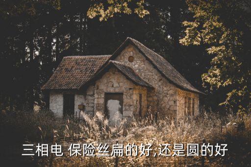 三相電 保險(xiǎn)絲扁的好,還是圓的好