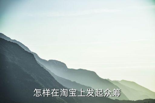 眾籌的數(shù)據(jù)公開程度,怎么在淘寶上發(fā)起眾籌?
