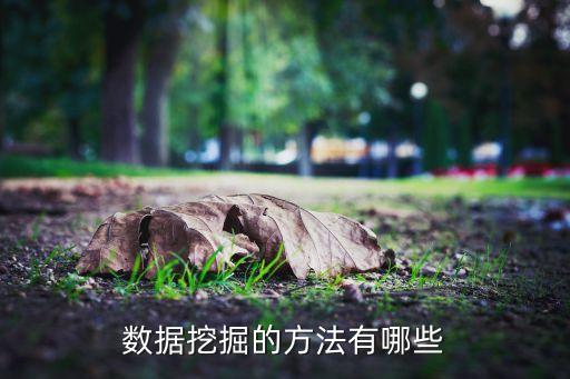 數(shù)據(jù)挖掘的方法有哪些