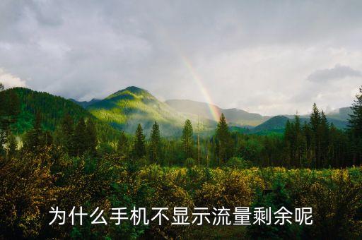 為什么手機(jī)不顯示流量剩余呢